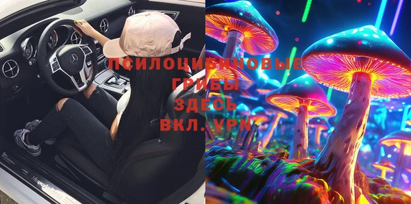 мдпв Алзамай