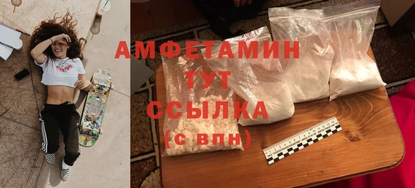 ешки Алексин