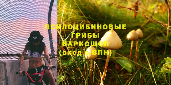 ешки Алексин