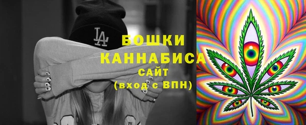 ешки Алексин