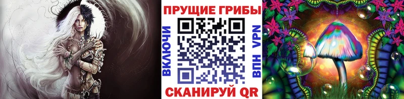 Псилоцибиновые грибы мицелий Куйбышев